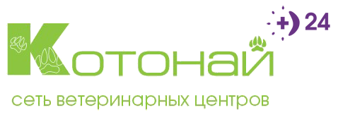 Котонай — сеть ветеринарных центров
