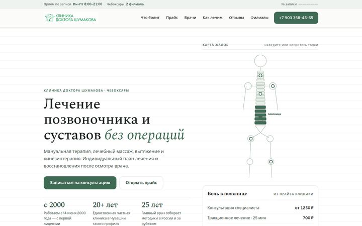 Концепт главной страницы: клиника позвоночника, Чебоксары