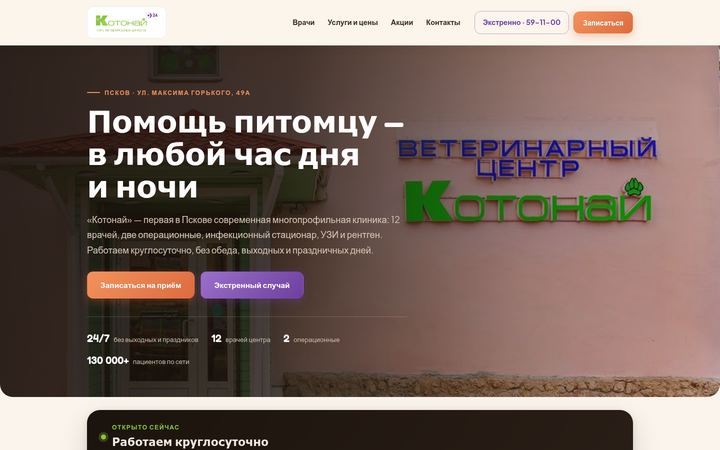 Концепт главной страницы: ветклиника, Псков
