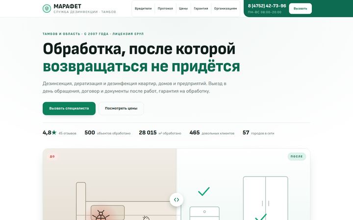 Концепт главной страницы: служба дезинфекции, Тамбов