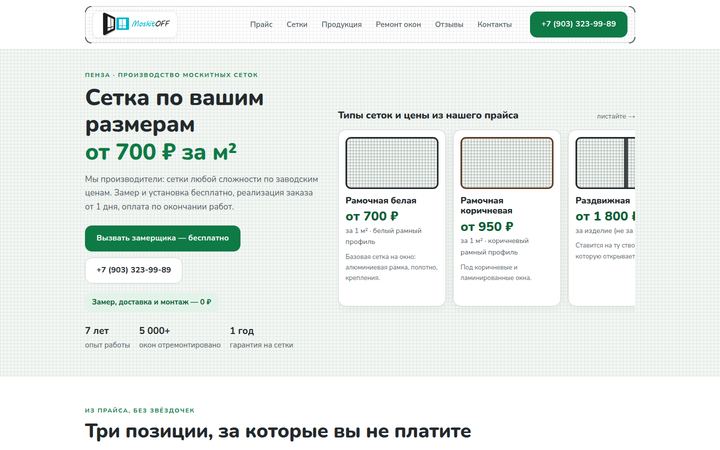 Концепт главной страницы: москитные сетки, Пенза